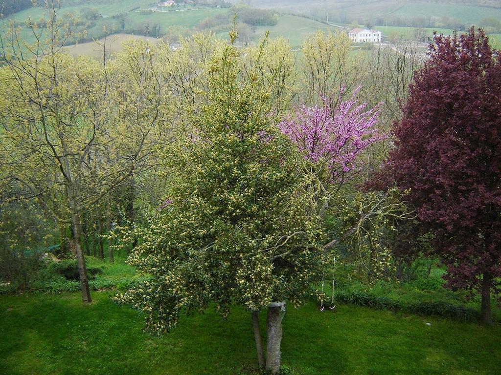 Casale Del Monsignore Spoleto Bagian luar foto